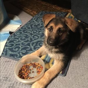 Meet your Posher, Rebecca